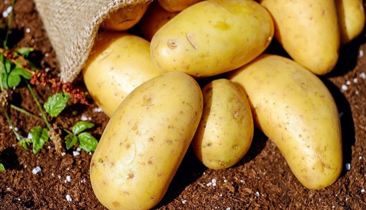 Patateste bir yıllık stok tamam! En ucuz patates Antalya Hali nde 3 TL! 28 Eylül 2022 fiyat listesi