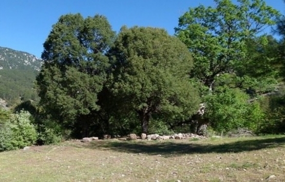 O evi görenler şok oldu! 1500 TL ye hayalindeki evi yaptı!