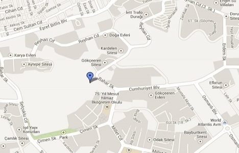 Zin D Natura fiyat listesi!