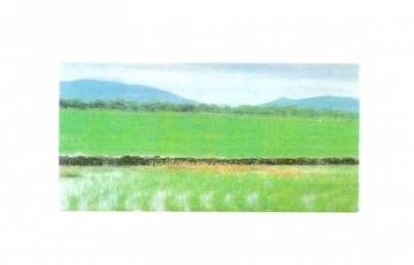 Parselden geçiş hakkı!