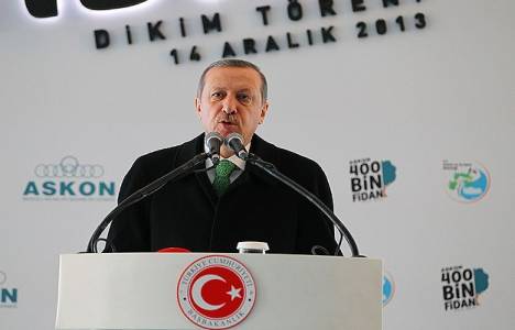 Recep Tayyip Erdoğan: 2 milyar 800 milyon fidanı toprakla buluşturduk!