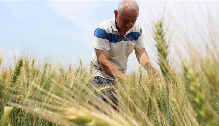 Tarımsal destek ödemesi ne zaman yapılacak? Çiftçiye mazot ve gübre desteği ne zaman ödenecek?