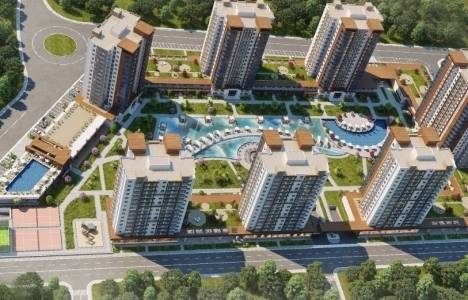 Beylikdüzü Demir Romance resimleri!