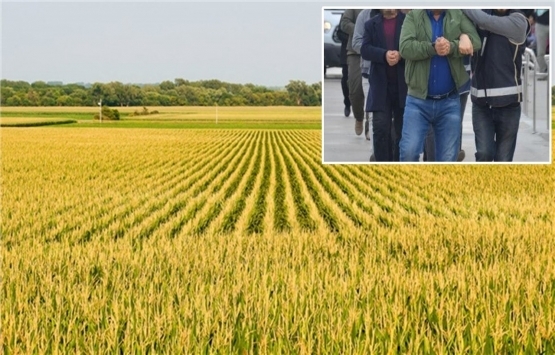 Adana'da suç örgütü üyeleri yaklaşık 400 dönüm tarım arazisine zorla el koymuş!