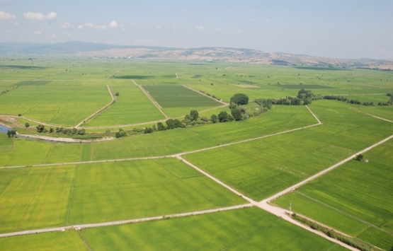 Hazine arazisi imar barışı başvurusu!