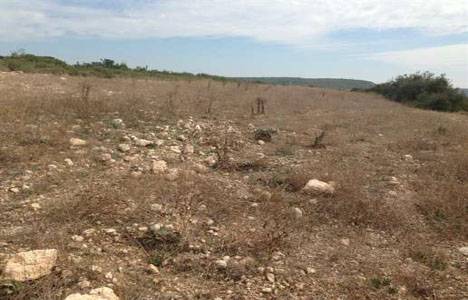 Didim'e açık cezaevi yapılacak!