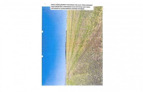 Bursa Nabi Ergin Özel Ormanı na inşaat yapılamayacak!