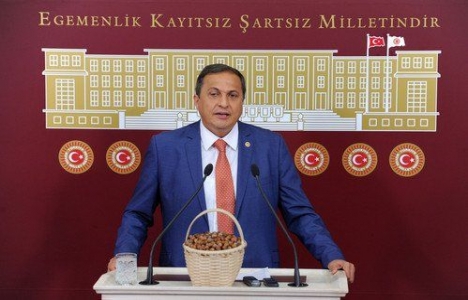 Ordu'nun ulaşım sorunu mecliste konu oldu!