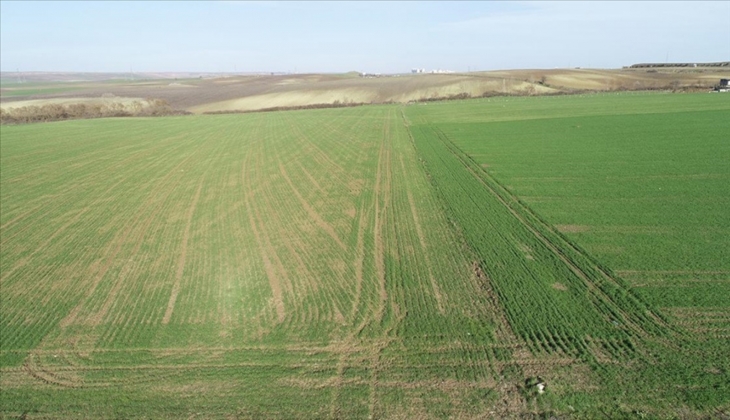 Milli Emlak Şefliği, o ilde 8 taksit ve yüzde 20 indirim fırsatıyla 3 arazi satılacak!