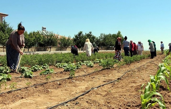 İzmir deki hobi bahçelerine Kovid-19 akını!