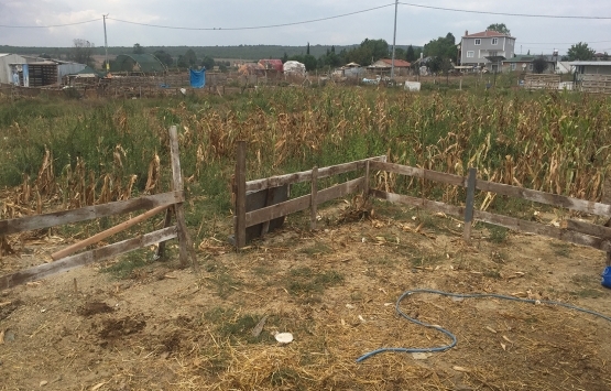 Arsa tapu harcı 2020!