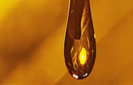 Atık yağlar geri dönüşüme kazandırılıyor!