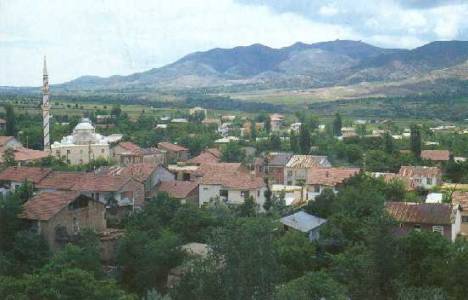 Elazığ Baskil'de 1 milyon 755 bin 88 TL'ye 2 adet satılık arsa!