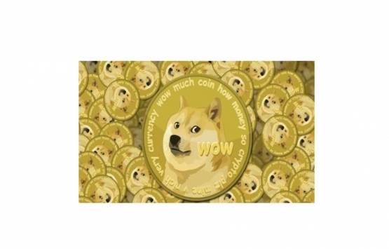 Dogecoin in geliştiricilerinden Sporklin hayatını kaybetti!