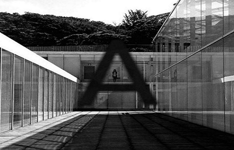 Asena-Caner Erkin çifti 4 milyon dolara evlerini dekore ettirdi!