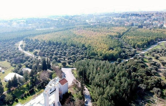 Ege Üniversitesi’nin koruluğu ‘Millet Bahçesi’ oluyor!