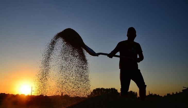 İngiliz basınının gündeminde Türk çiftçisi var! Binlerce çiftçi yüksek maliyetler ve borçlarla karşı karşıya!