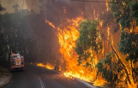 Victoria ve Güney Avustralya eyaletlerinde yangın çıktı!