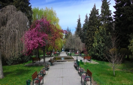 Ankara Üniversitesi Tandoğan Yerleşkesi doğal sit alanı ilan edildi!