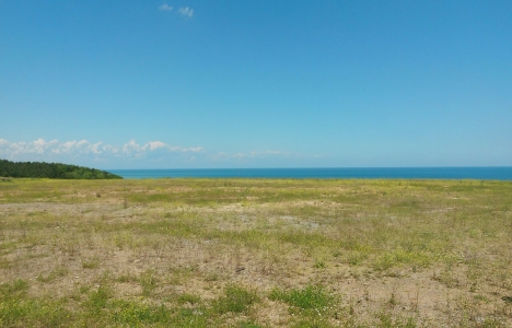 Eyüp Çiftalan Köyü nde 7.6 milyon TL ye icradan satılık arsa!