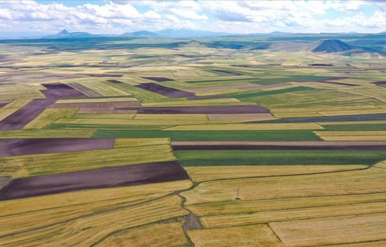 Çiftçiye mazot ve gübre desteği geliyor! Tarih belli oldu...