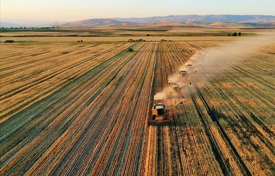 Türkiye’nin 12 ilinde yer alan araziler özelleştiriliyor!