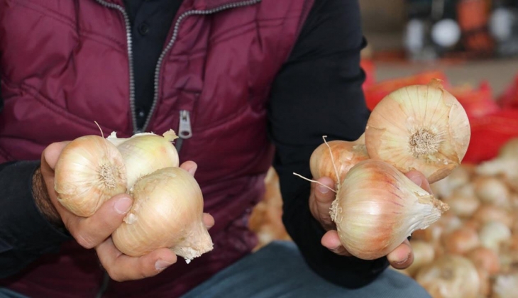 Sıcak hava tarlaları da vurdu! Soğan fiyatı 4 katına çıktı