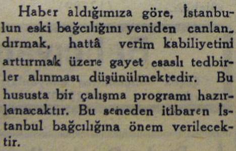 1944 yılında İstanbul da bağcılık ihya edilecekmiş!