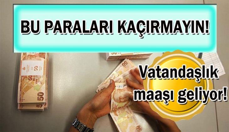 Aile Destek Programı 2023 ödemesi tam da bu ay bitiyor ama şimdi de vatandaşlık maaşı geliyor! Bu maaşı sakın kaçırmayın