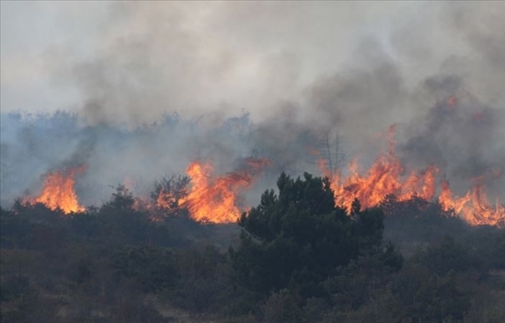 Yangın bölgelerinde inşa edilecek konutlarda senet tartışması!