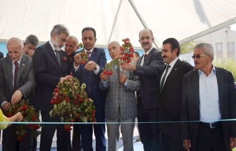 Bünyan'da toplu temel atma töreni gerçekleşti!