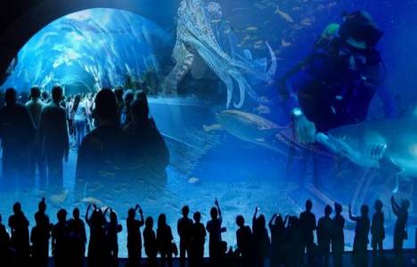 Merlin Entertainments Bayrampaşa Turkuazoo akvaryumu satın aldı!