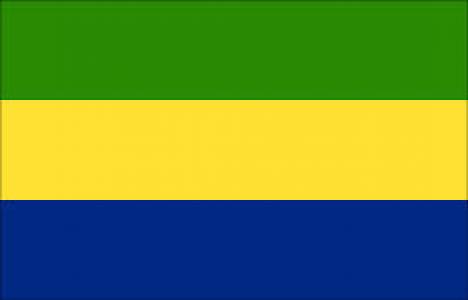 Gabonlular Türkiye'den ev alabilir mi?