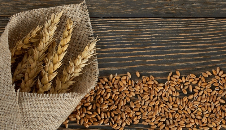 Un sanayicilerinden tahıl koridoru çağrısı: Ağustos ta koridorunun tekrar açılacak mı?