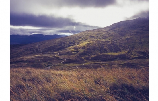 Bu adalar evden daha ucuz fiyata satılıyor!