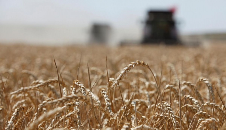 Bakan Nebati açıkladı! Ucuz gıda için destek 29 milyara yükseltildi