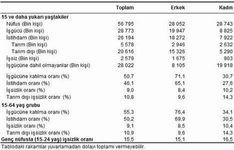 İnşaatta istihdam oranı yüzde 7,3!