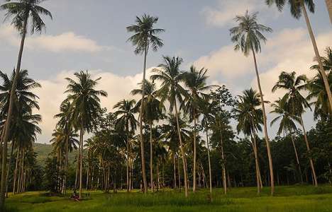 Patani saklı cennetleriyle keşfedilmeyi bekliyor!