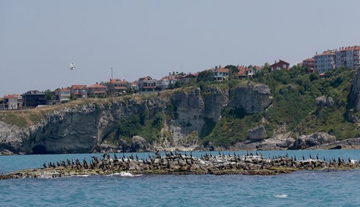 Şile’de Belediyesi 10 adet arsa satıyor! İstanbul’da arsa arayanlar dikkat!