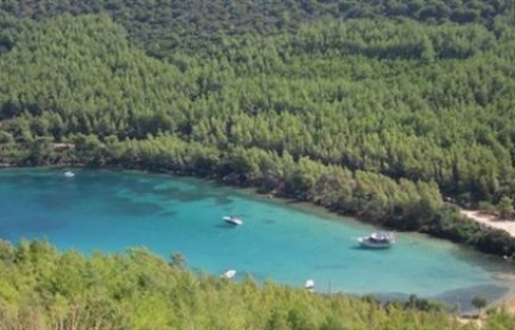 Bir arsanın sit alanı olup olmadığı nasıl sorgulanır?