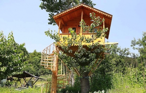 Ahşap bina dönemi başlıyor!