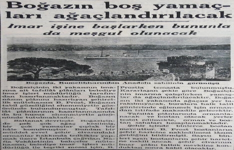 1941 yılında Boğaz ın boş yamaçları ağaçlandırılacak!