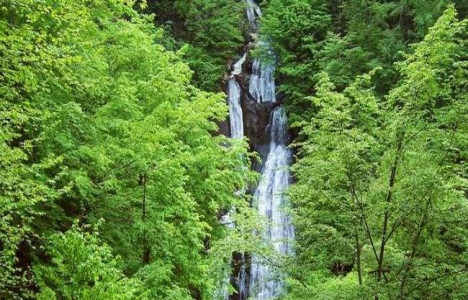 Doğu Karadeniz ihracat rakamları