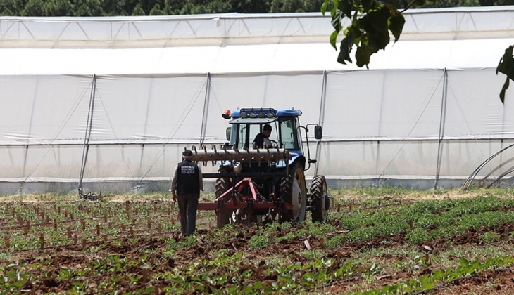Tarımsal destek ödemeleri ne zaman 2022? Bakan Kirişçi açıkladı! Buzağı, çiğ süt, malak, manda destek ödemeleri...