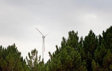 Boğaziçi Üniversitesi elektrik ihtiyacını rüzgardan karşılayacak!