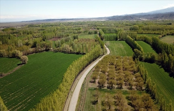 2B'den 3 yılda 1,7 milyar lira gelir bekleniyor!