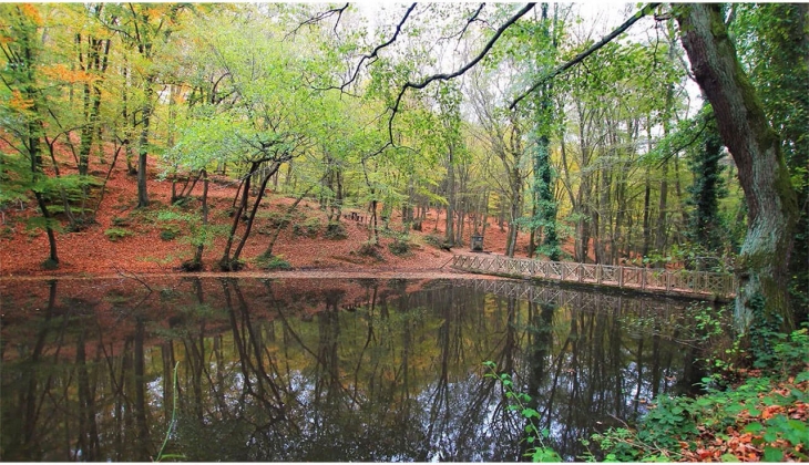 Koray GYO Liberté ön satışta! Koray GYO dan Göktürk e 118 konutluk yeni proje!