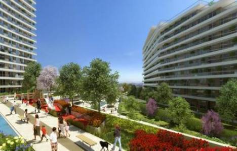 Dumankaya Modern Collection resimleri!