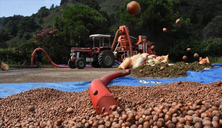 Fındık ihracatı yaklaşık 2 milyar dolar kazandırdı! 5 Eylül 2022 fındık fiyat listesi..
