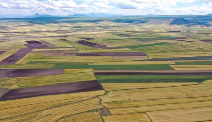 Milli Emlak’tan 41 bin TL’ye satış! İzmir Tire, Niğde Bor'da satılık arsalar!